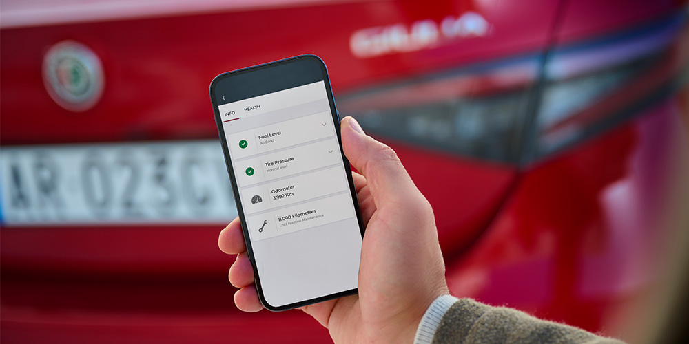 Alfa™ Connect Services