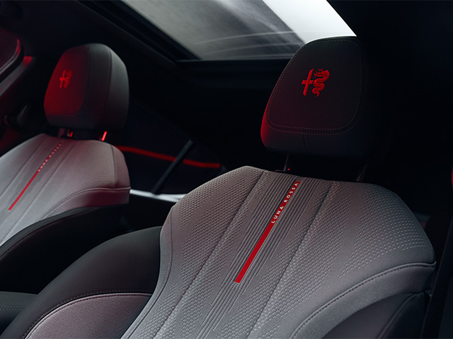 Black interior details
