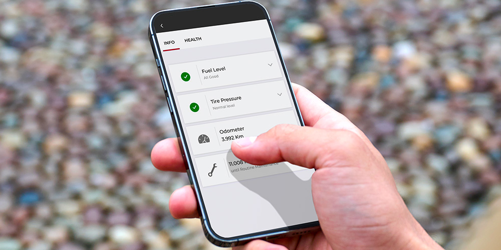 Alfa Connect Services